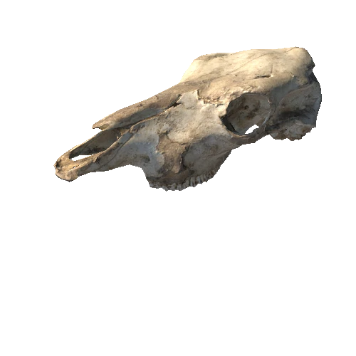 Head5