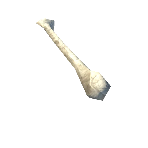 bone6_LOD0