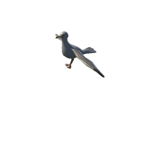 seagul_anim_fbx_Prefab