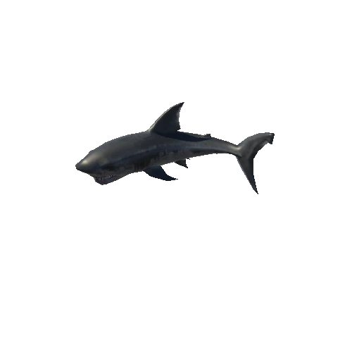 shark_anim_fbx_Prefab