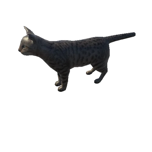 cat_anim_fbx_Prefab