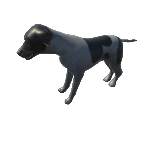 dog_anim_fbx_Prefab