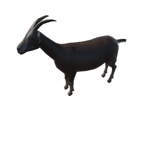 goat_anim_fbx_Prefab