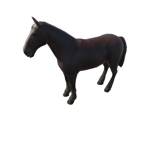 horse_anim_fbx_Prefab