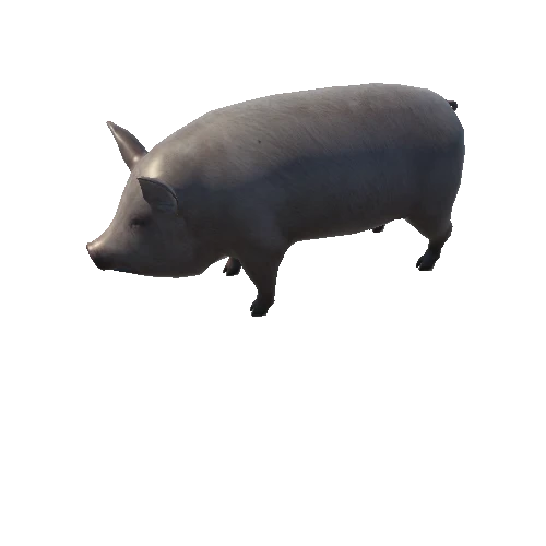 pig_anim_fbx_Prefab