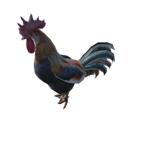 rooster_anim_fbx_Prefab