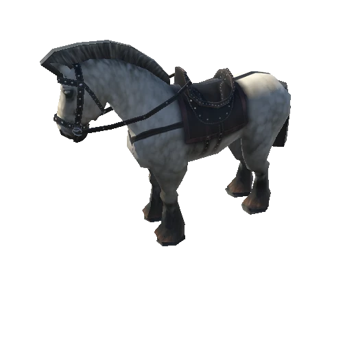 horse_anim_saddle