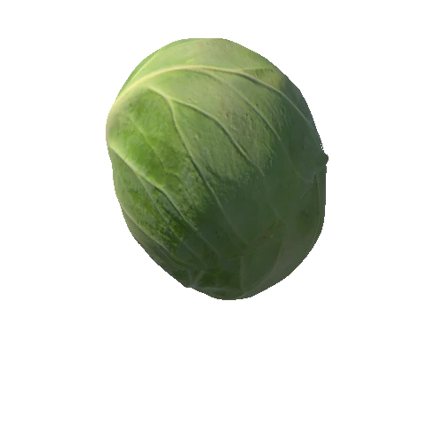 cabbage