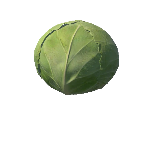 cabbage001