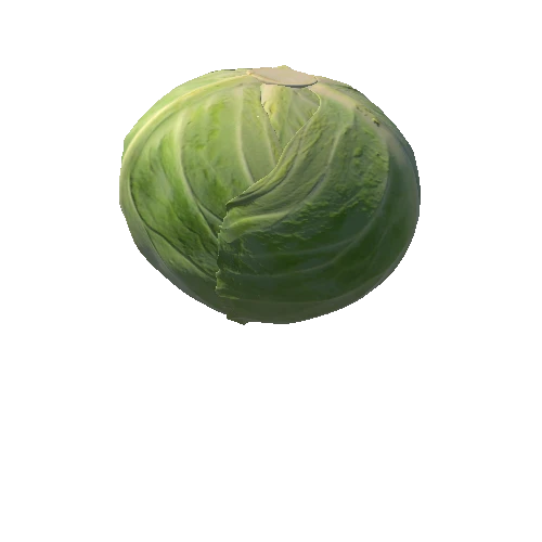 cabbage002