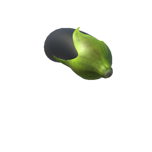 Eggplant