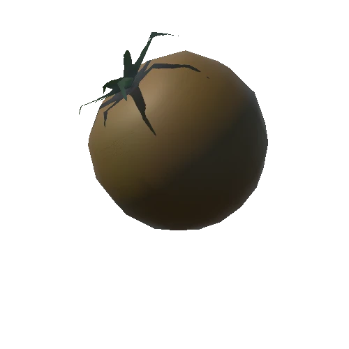 Tomato_d