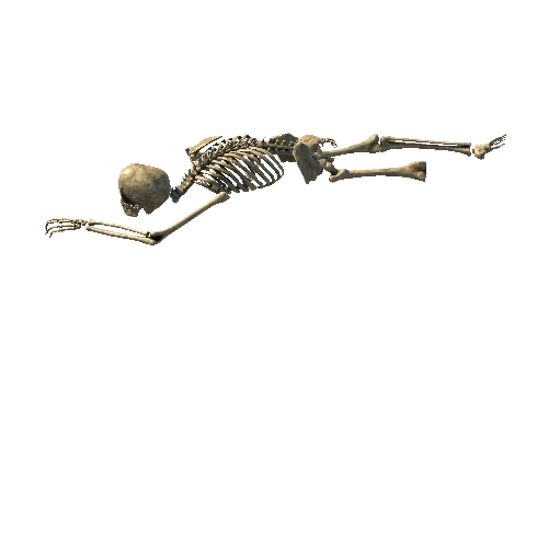 Skeleton_1_LOD0
