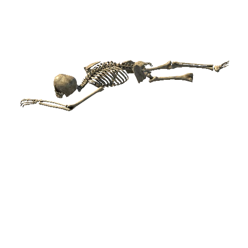 Skeleton_1_LOD1