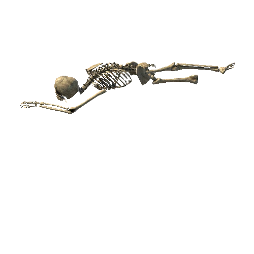 Skeleton_1_LOD3