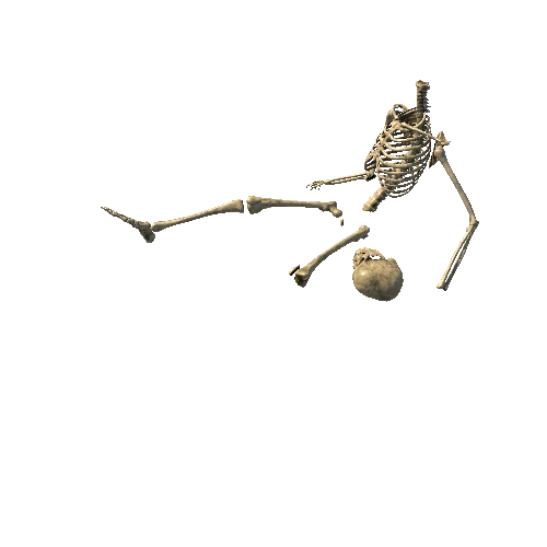 Skeleton_3_LOD0