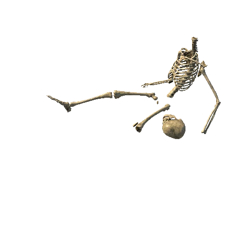 Skeleton_3_LOD1