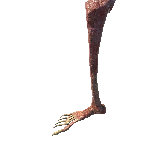 BK_Remains_RightLeg