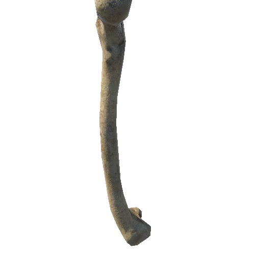 BK_Skeleton_RightHip