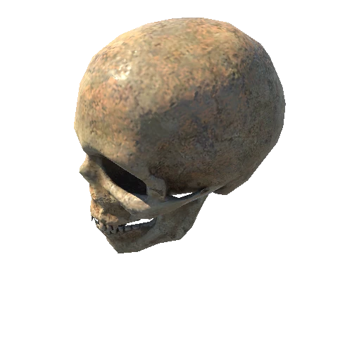 BK_Skeleton_Skull