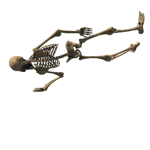 Skeleton5