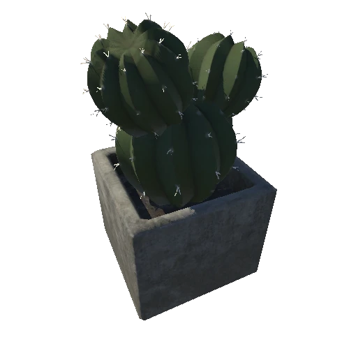 1914600+Cactus1