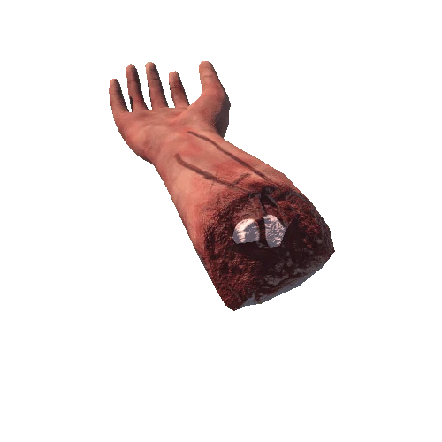 uploads_files_1915762_Severed_Arm_FBX