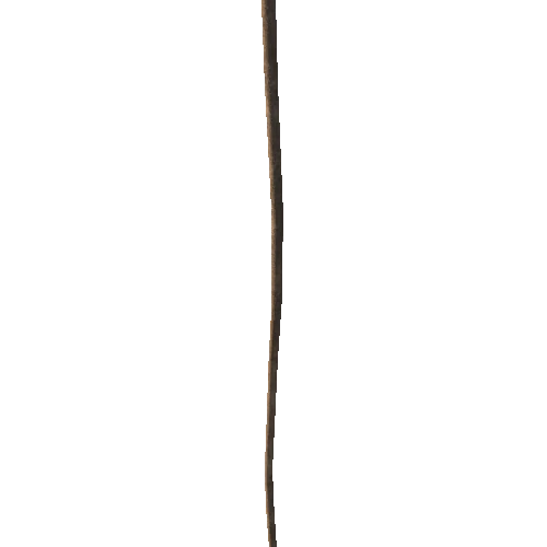 Wooden_Stake_Tall_05_LOD0