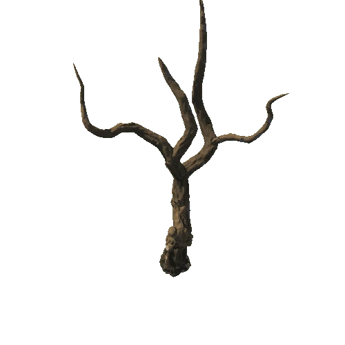 DryTree1_2