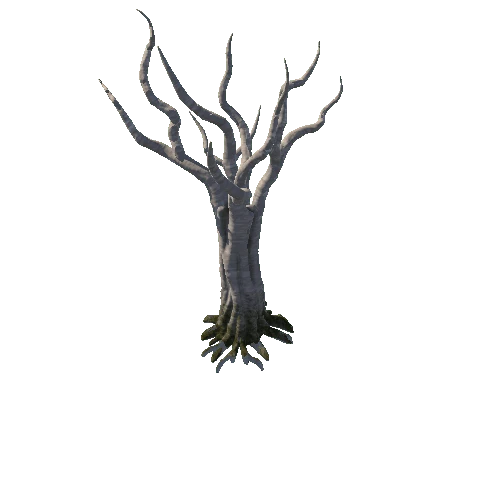 DryTree2_1