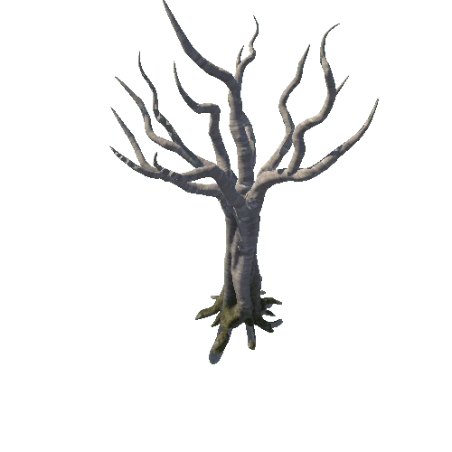 DryTree2_2