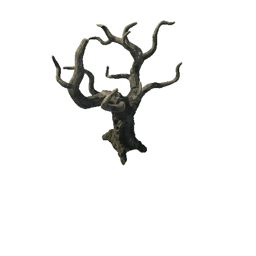 DryTree3_1