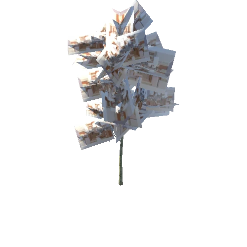 Tree-Beech3D-mobile_LOD1