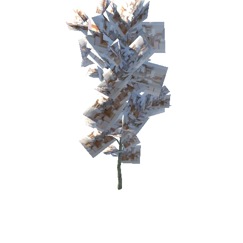 Tree-Beech3D_LOD0