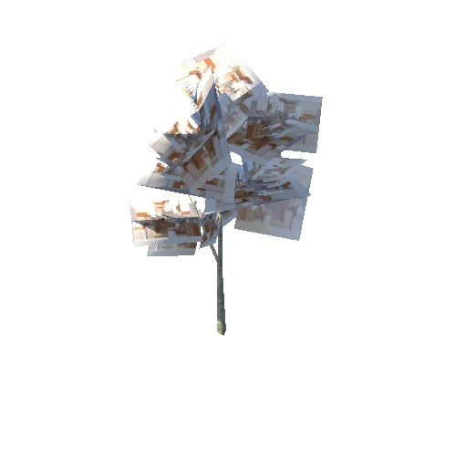 Tree-Beech3D_LOD3