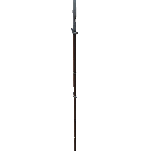 Common_Spear_HP