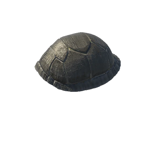 TurtleShell_Gray-Dirt