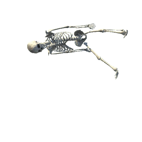 skeleton2_LOD0