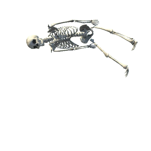 skeleton3_LOD0