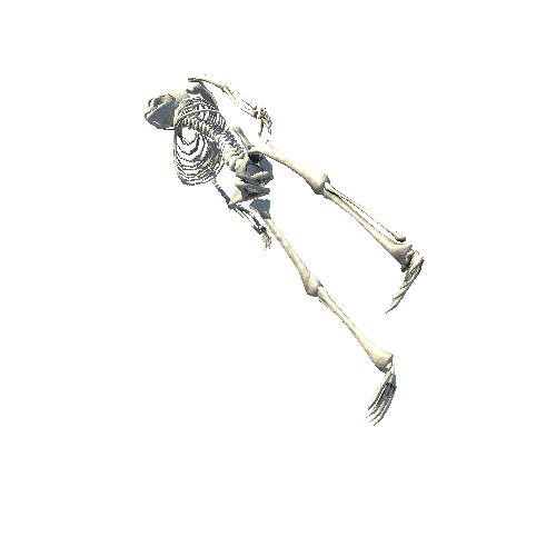 skeleton_LOD0