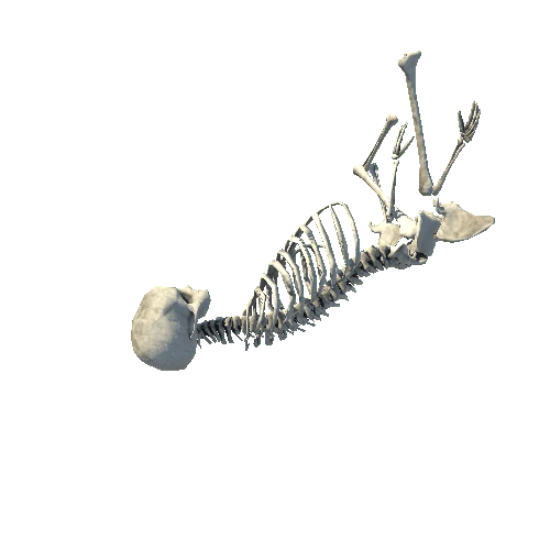 skeletonsit2_LOD0
