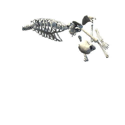 skeletonsit3_LOD0