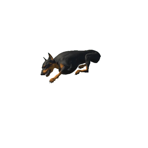 Anim_Combat_Dog_Sleep_2