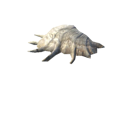 SeaShell-07_LOD0_FattooCreater