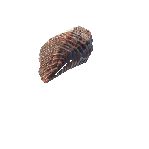 SeaShell-09_LOD0_FattooCreater