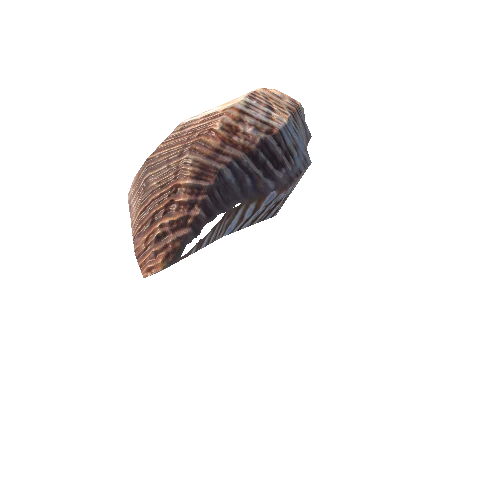 SeaShell-09_LOD1_FattooCreater