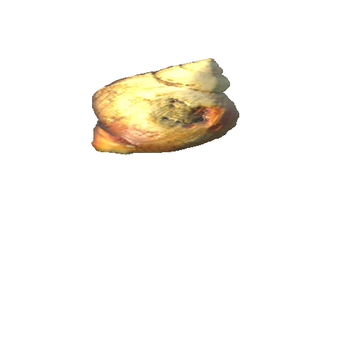 SeaShell-13_LOD3_FattooCreater