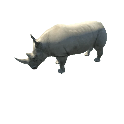 Rhino_V2_LOD0