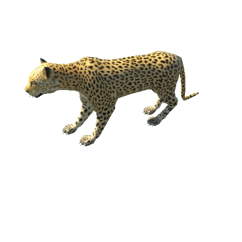 leopard_LOD0