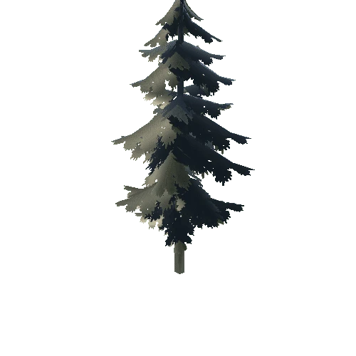Pine_Tree_02